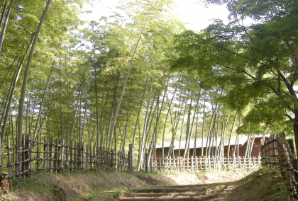 【大江ノ郷自然牧場ふるさと納税】八頭町の風景