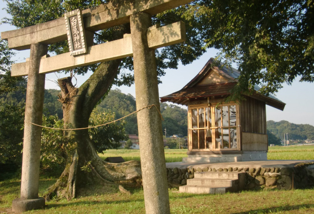 【大江ノ郷自然牧場ふるさと納税】八頭町の風景