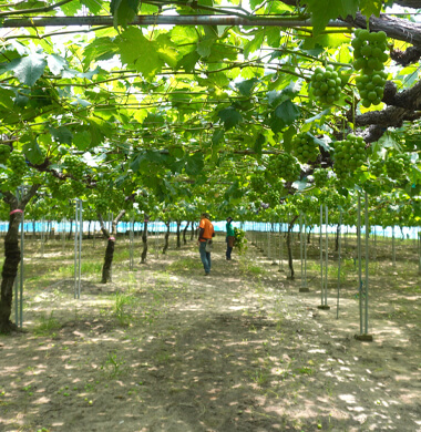BSSK_006.jpg