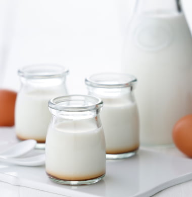 いなばの白ぷりん