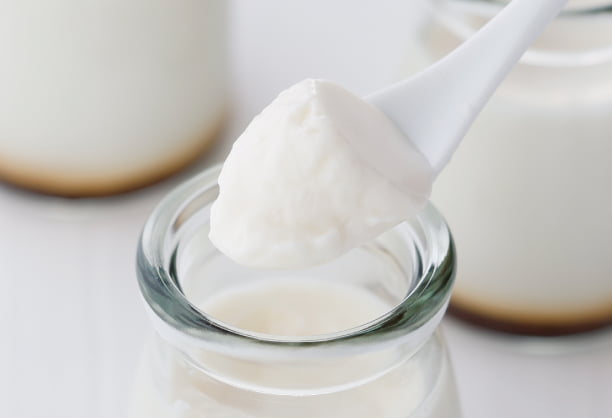 いなばの白ぷりん