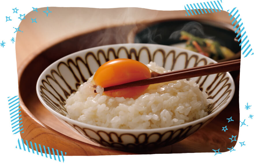 「新鮮便」天美卵定期コース