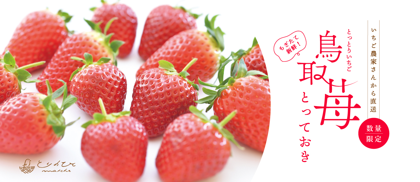 いちご農家さんから直送！鳥取県オリジナル品種「とっておき」【とりのひとマルシェ】