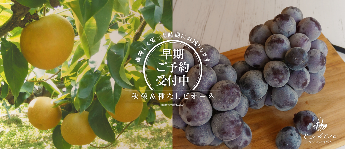 秋栄＆種なしピオーネ【早期ご予約受付中】｜とりのひとマルシェ