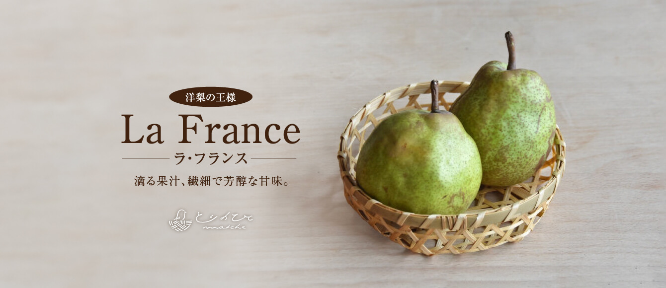 なめらかなくちどけで濃厚な洋梨【ラ・フランスご予約受付中】