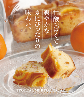 甘酸っぱく爽やかな夏限定トロピカルミニパウンド