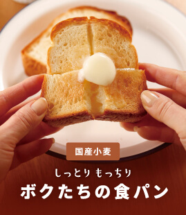 国産小麦で作るしっとりもっちり食パン