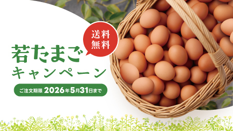 若コッコが産んだ滋養たっぷりの若たまご【今だけ50個で送料無料】