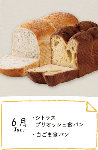 6月のお届け内容