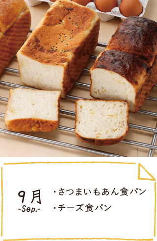 9月のお届け内容