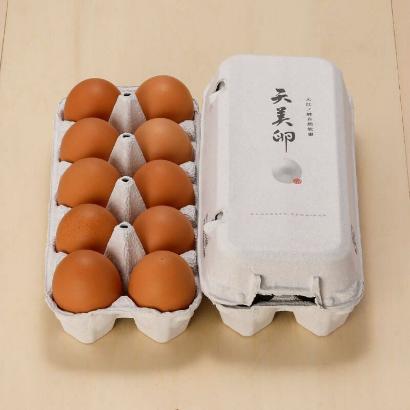 朝採れ平飼い卵】天美卵エコパック詰め20個牧場直送・送料無料 卵かけ