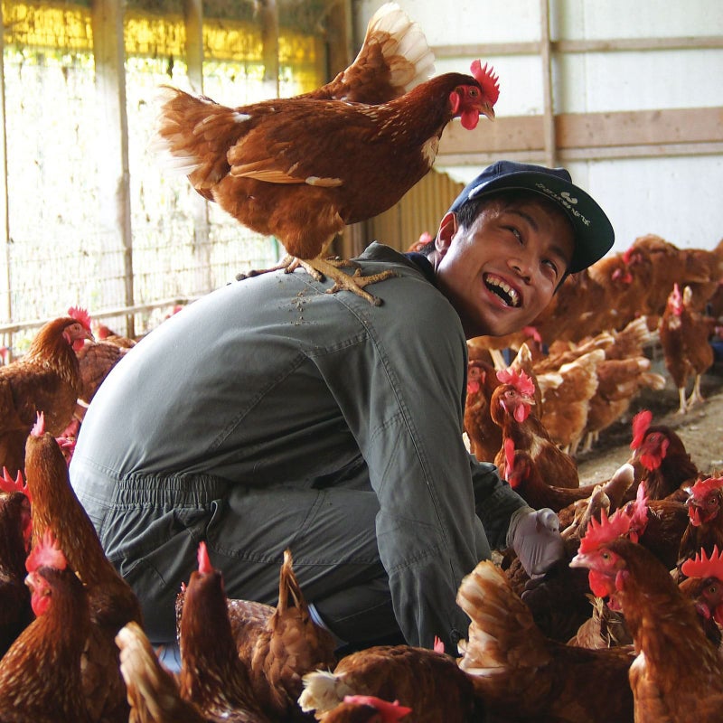 平飼い飼育で育てる天美卵