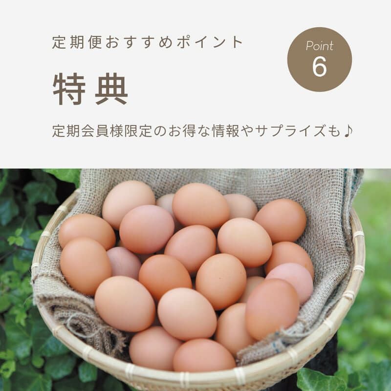 定期便おすすめポイント⑥_定期会員様限定のお得な情報やサプライズも！