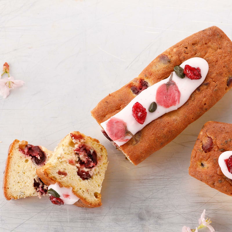 春のココットプレミアムセット