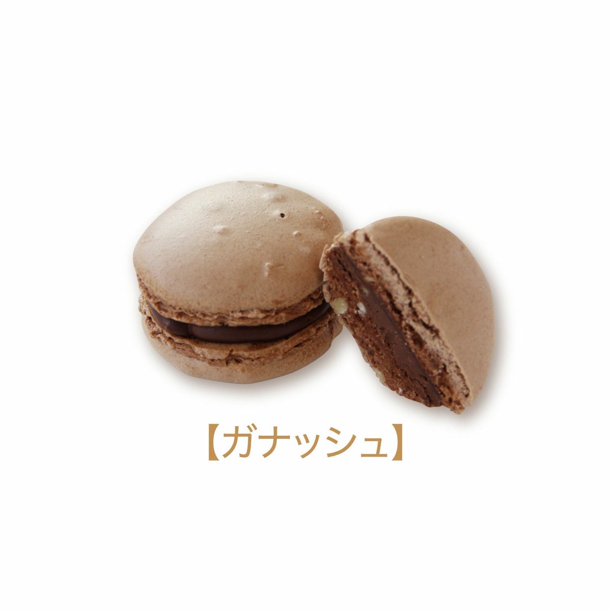 ガナッシュ_ショコラマカロン[冷凍]