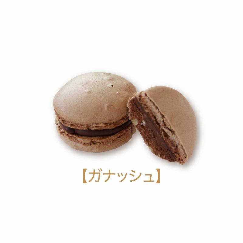 ガナッシュ_ショコラマカロン[冷凍]