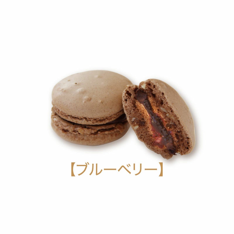 ブルーベリー_ショコラマカロン[冷凍]