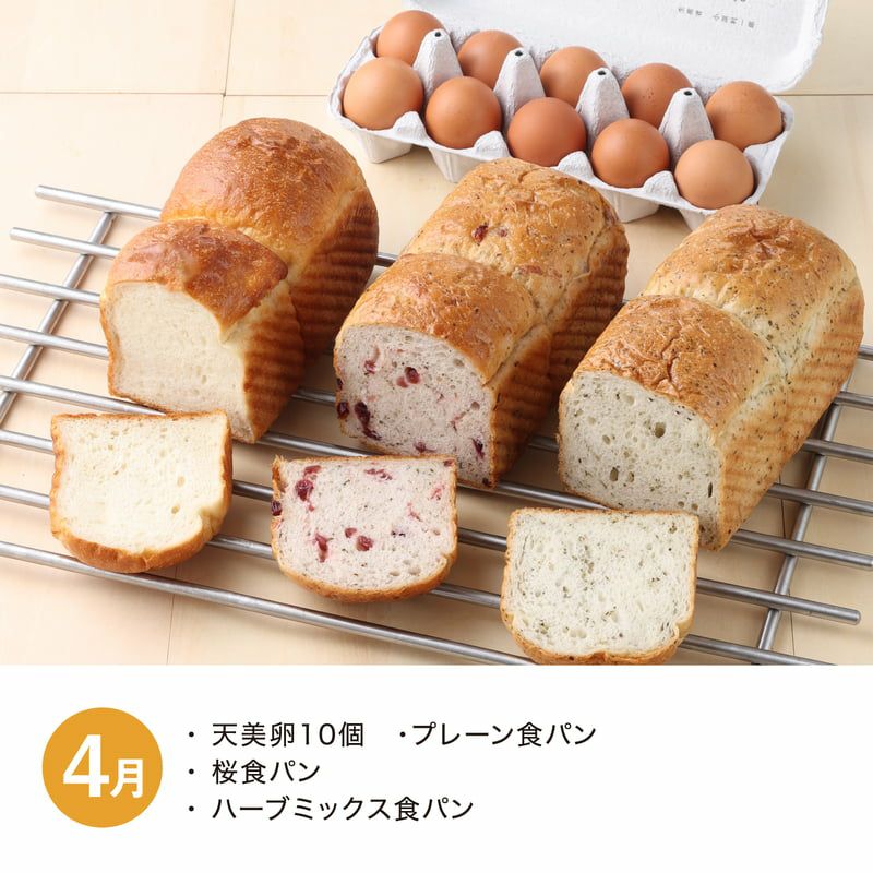 食パン食べ比べ頒布会_2026年4月