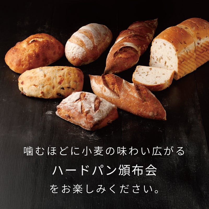 噛むほどに小麦の味わい広がるハードパン頒布会をお楽しみください_ハードパン頒布会