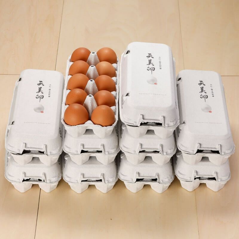 朝採れ平飼い卵】天美卵エコパック詰め100個牧場直送・送料無料 卵かけ