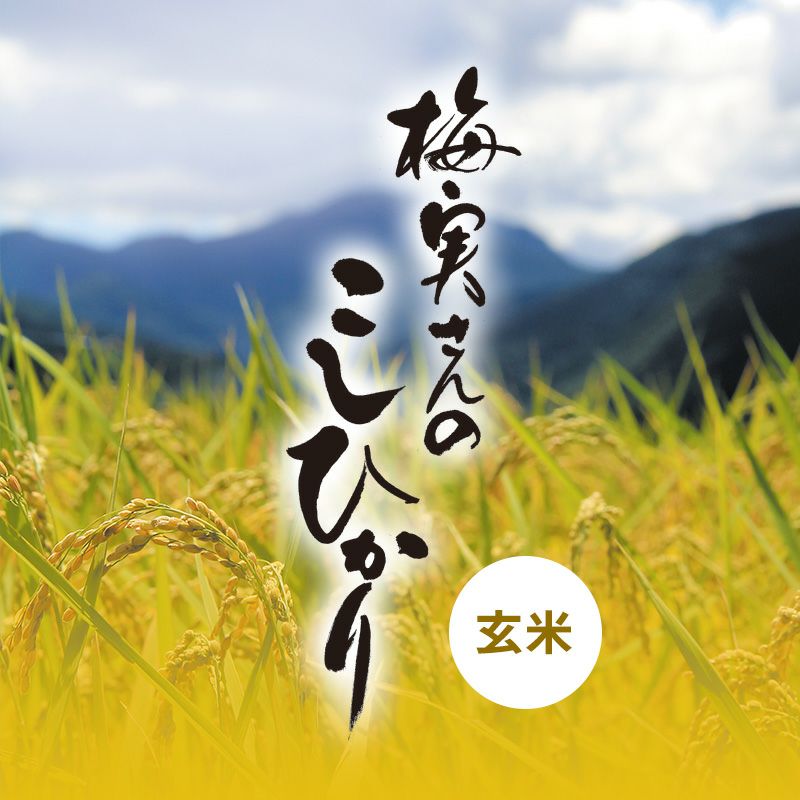 梅実さんのこしひかり・玄米