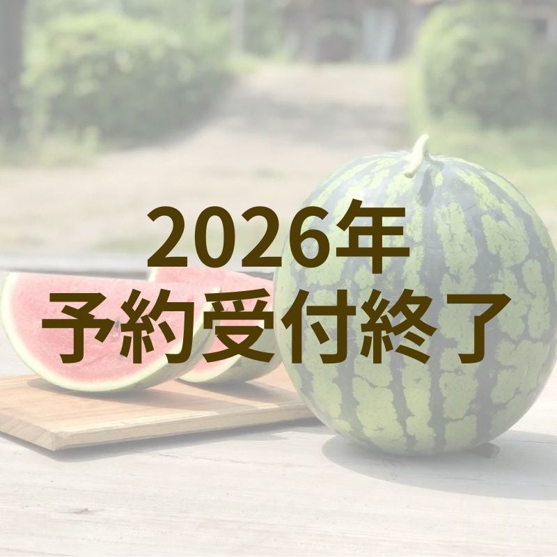 鳥取スイカ（２L以上）