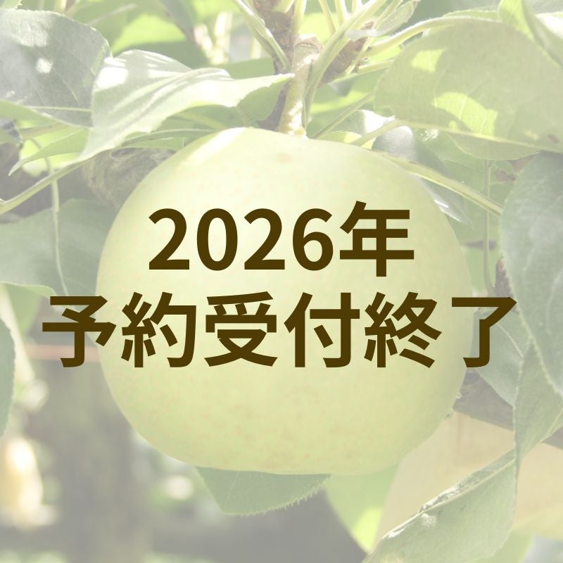  二十世紀梨　有袋3kg