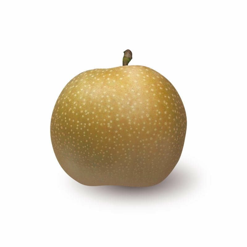 新甘泉　2kg