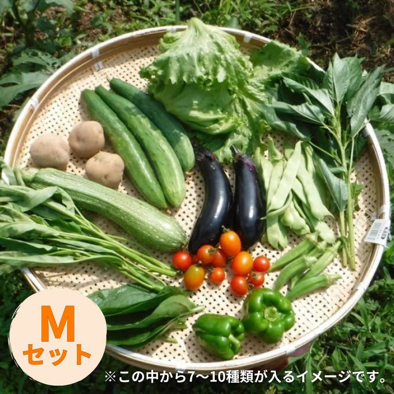 いのちの土の農園 旬の野菜Mセット | 大江ノ郷自然牧場