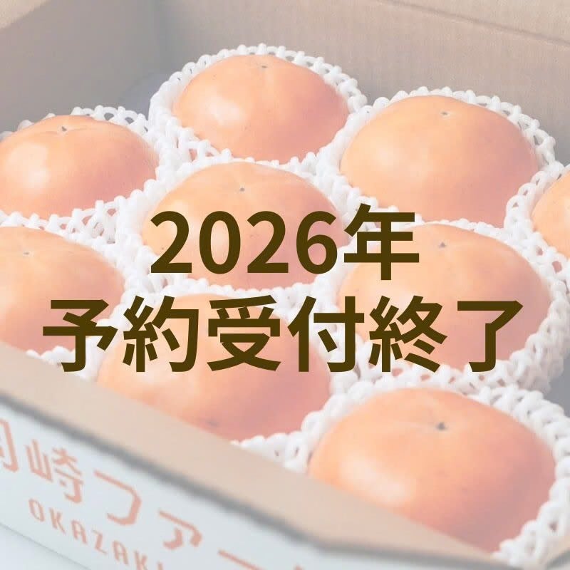 輝太郎柿 3kg