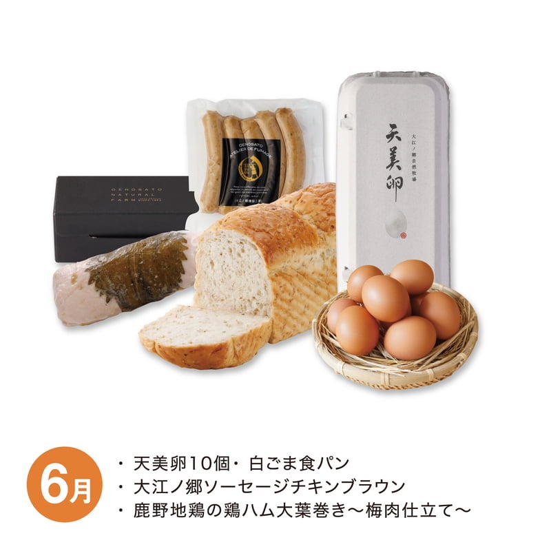 【月替】元気な朝セット　6月