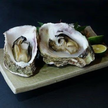 天然岩ガキ「夏輝」2kg （大サイズ6～8個）