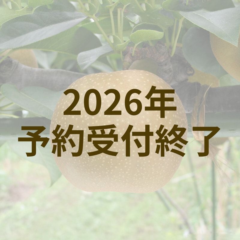 新甘泉　5kg